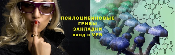 не бодяженный Бородино