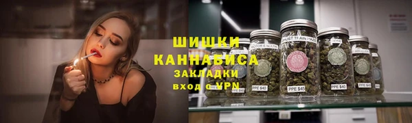 не бодяженный Бородино