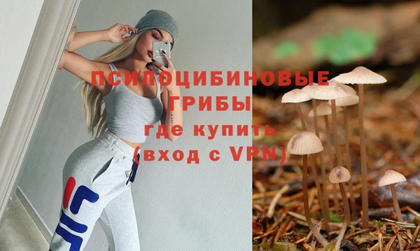 не бодяженный Бородино
