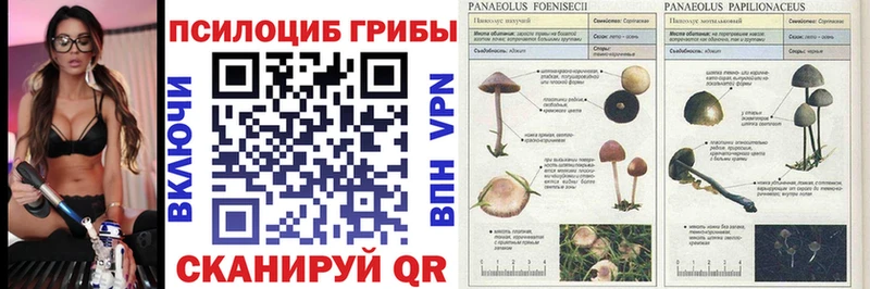 Псилоцибиновые грибы прущие грибы  Купить где  Шарыпово 